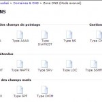 Zone DNS Mode Avancé